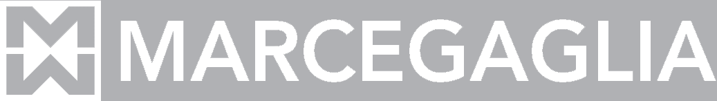 marcegaglia logo
